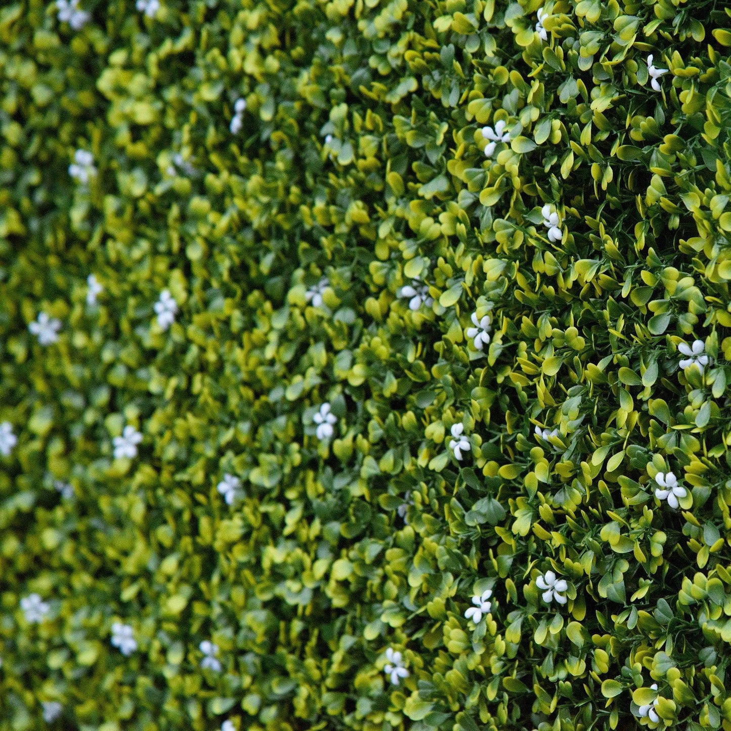 Outsunny Artificial Boxwood Wall Panels - Enhance Privacy - ALL4U RETAILER LTD