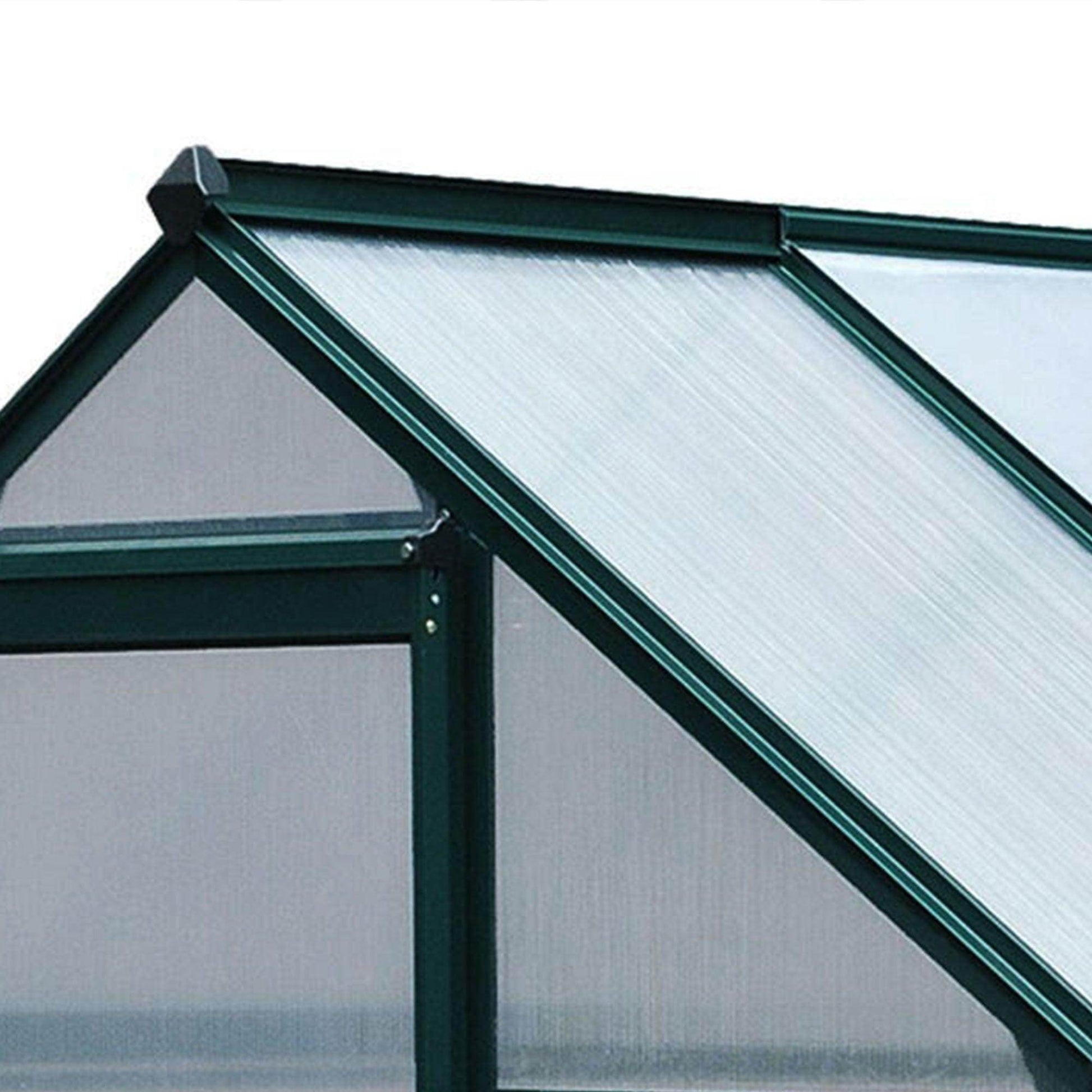 Outsunny Clear Polycarbonate Greenhouse - Walk-In Garden Shelter - ALL4U RETAILER LTD