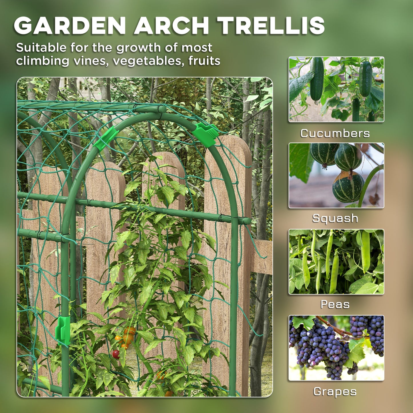 Outsunny 183 Cm Tall Metal Garden Trellis Arch For Climbing Plants Cucumbers Tomatoes Grapes Outdoor With Net