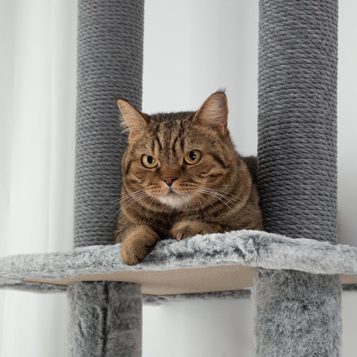 PawHut Adjustable Height Cat Tower with Scratching Posts, Condo, and Ramp - Floor-to-Ceiling Design