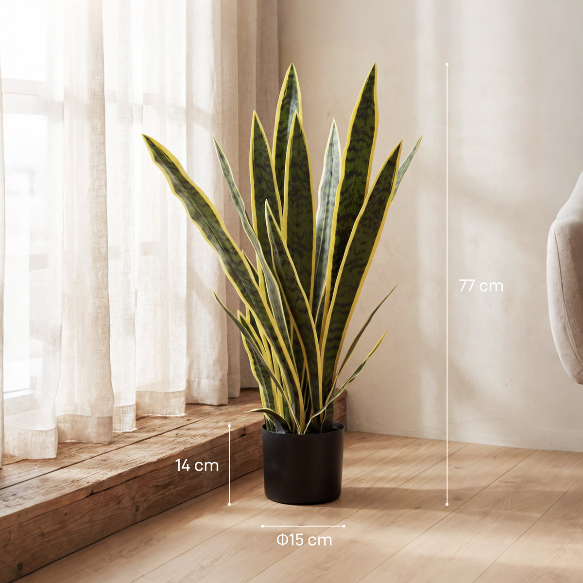 Artificial snake plant with variegated leaves in black pot with size markers