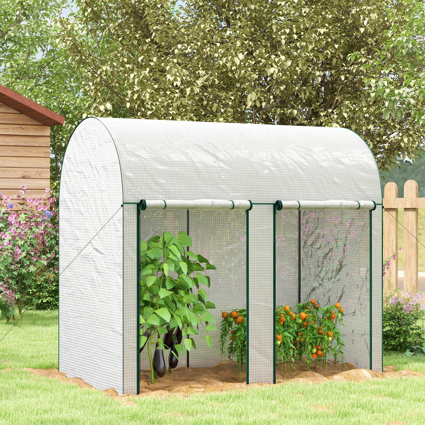 Outsunny Compact Walk-In Greenhouse with Roll-Up Doors for Vegetables, Herbs, and Flowers - 200 x 100 x 178cm, White - ALL4U RETAILER LTD