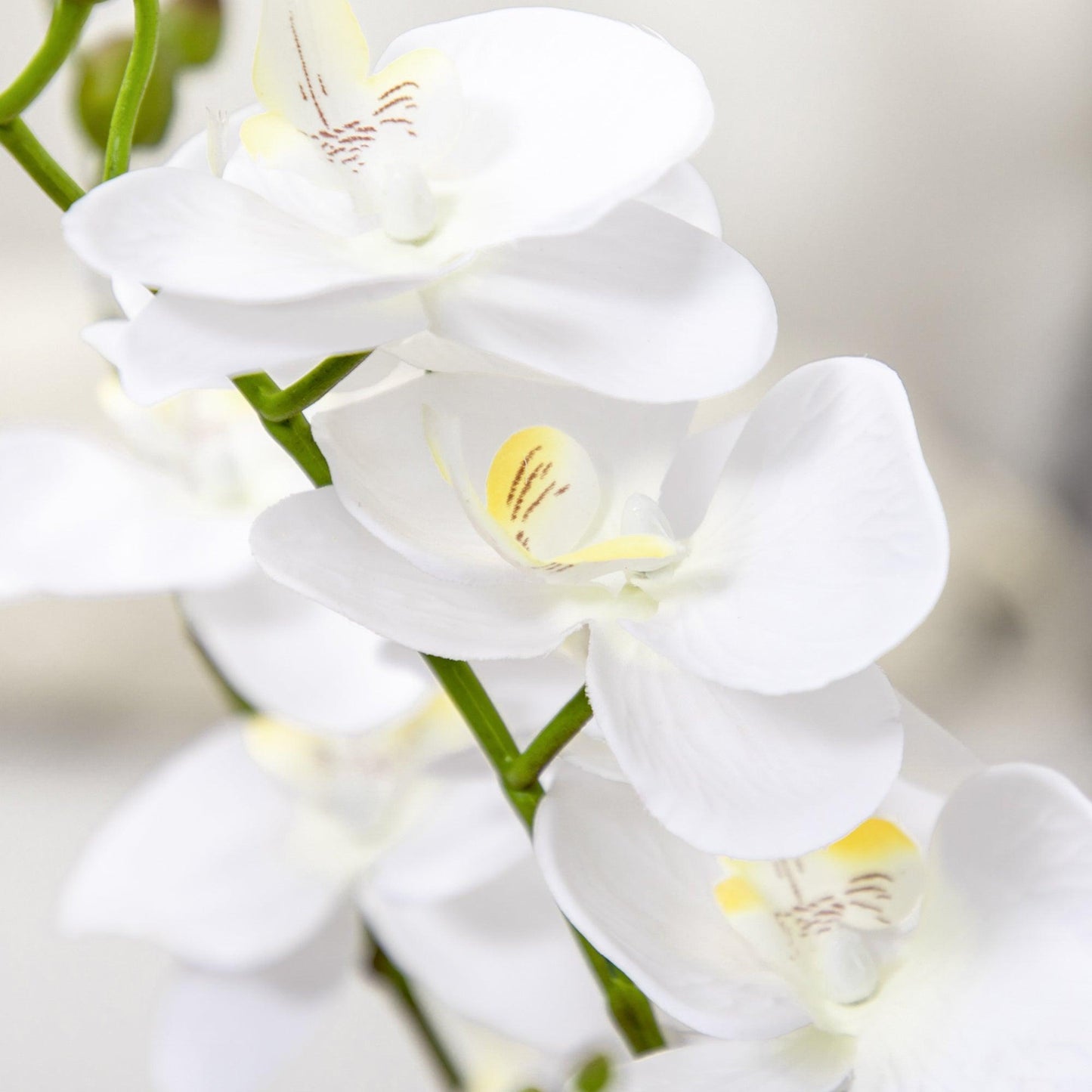 HOMCOM Artificial Orchid Plant, White Phalaenopsis, 17x17cm - ALL4U RETAILER LTD