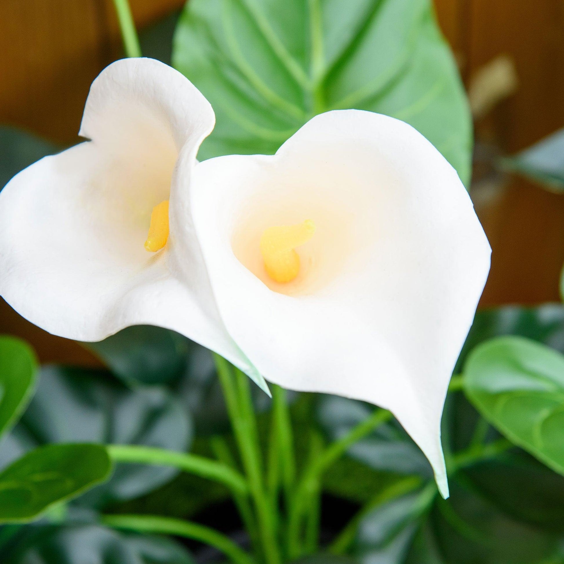 HOMCOM Realistic Calla Lily Flowers - Set of 2 - ALL4U RETAILER LTD