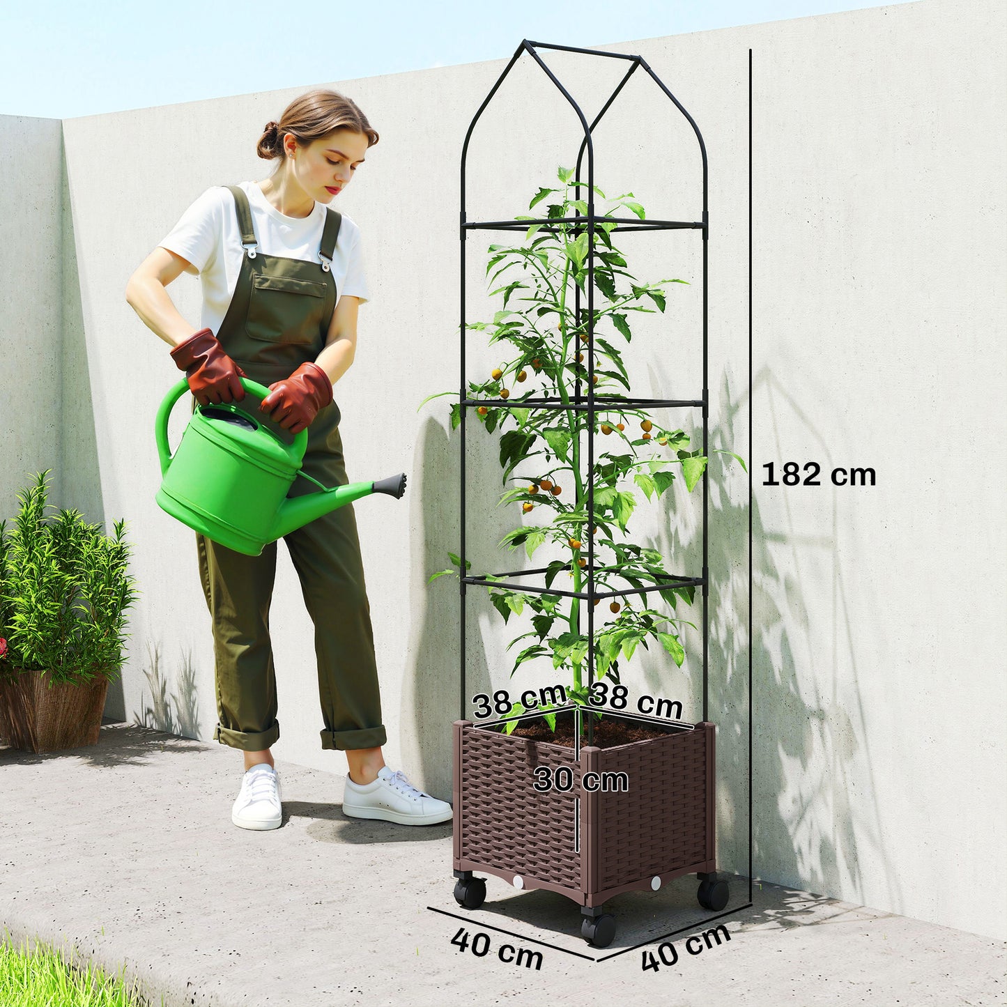 Outsunny Raised Garden Bed On Wheels With Trellis And Tomato Cage Self Watering Planter Box With Drainage Holes Brown