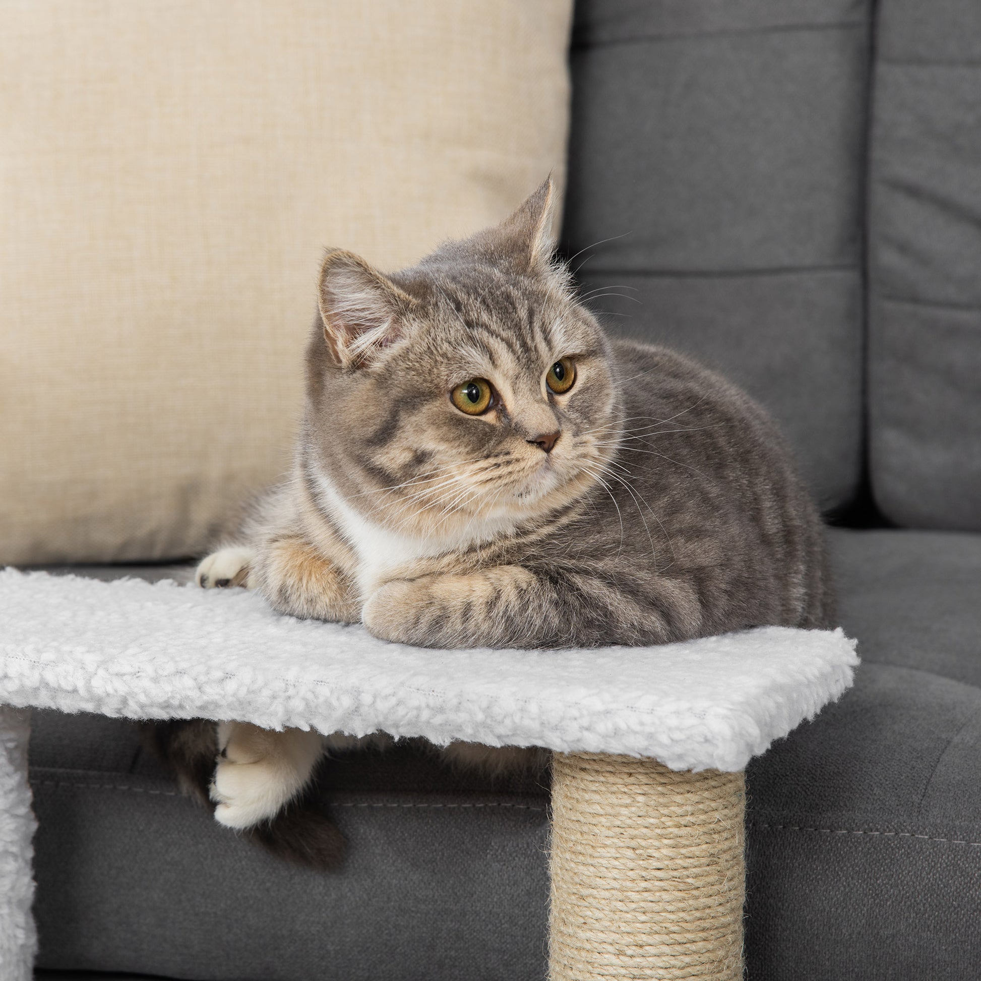 PawHut 3-Step Cat Climbing Stairs with Scratching Posts and Toy Ball for Indoor Senior Cats and Kittens - White - ALL4U RETAILER LTD