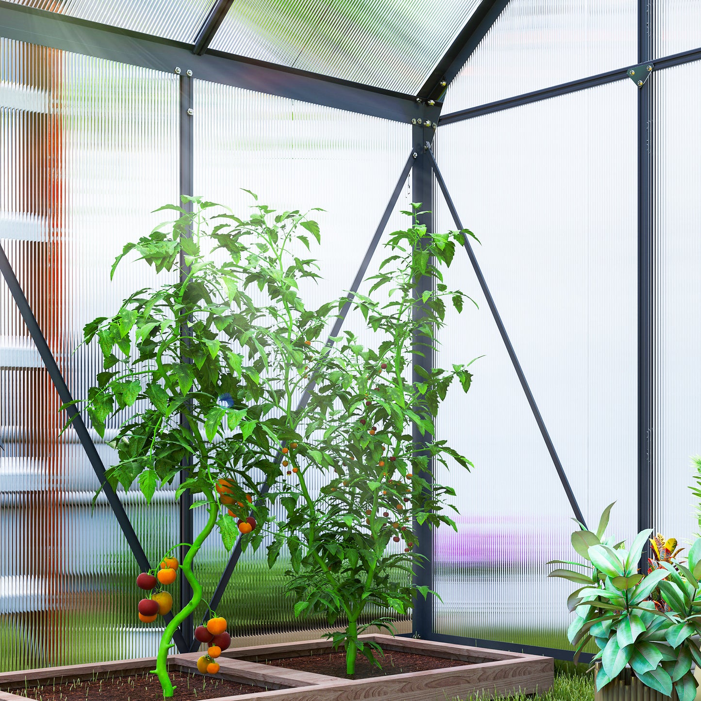 Outsunny Walk In Polycarbonate Greenhouse 192.5cm 131cm Aluminum Frame Durable Garden Structure