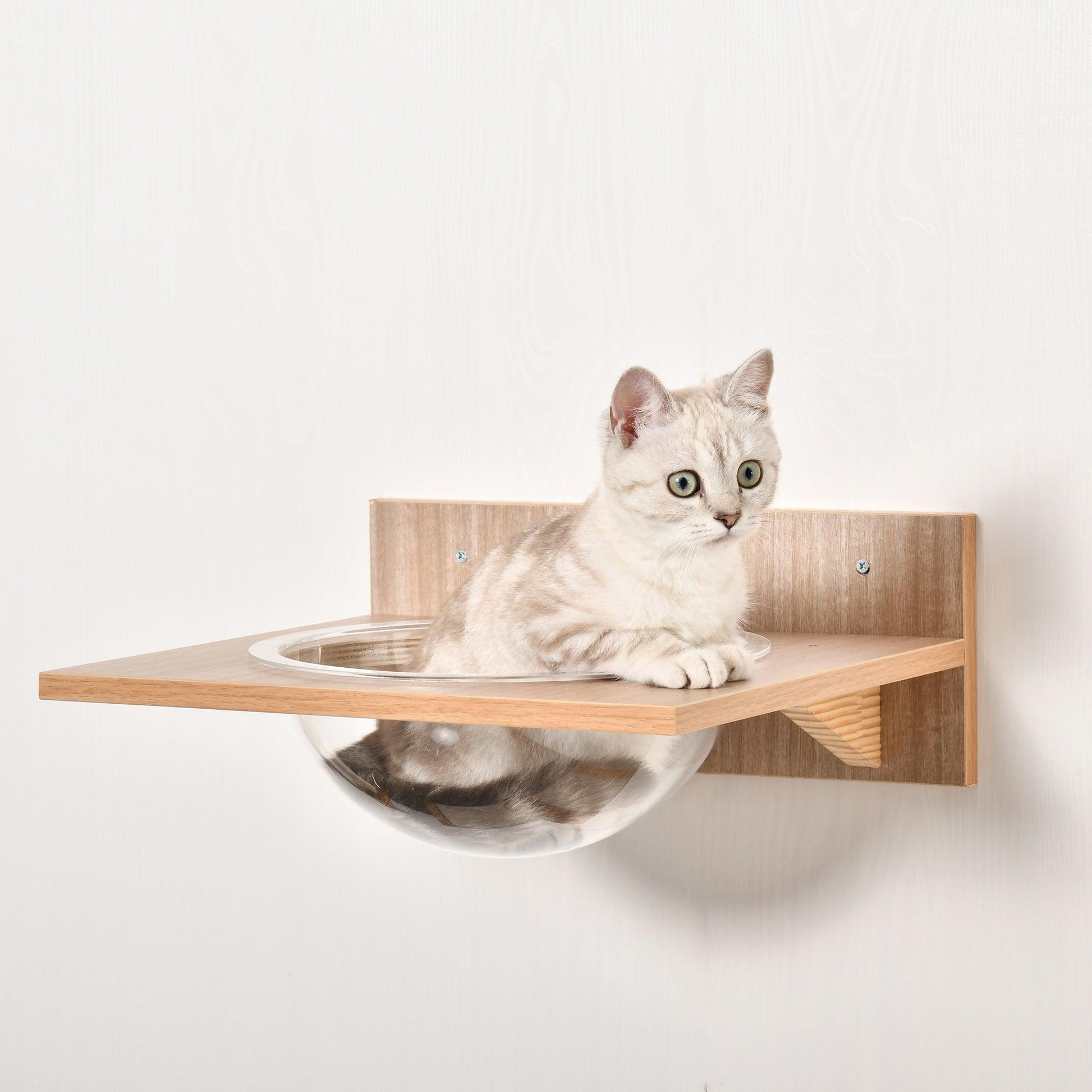 PawHut 4PCs Wall Cat Climbing Shelf Set - ALL4U RETAILER LTD