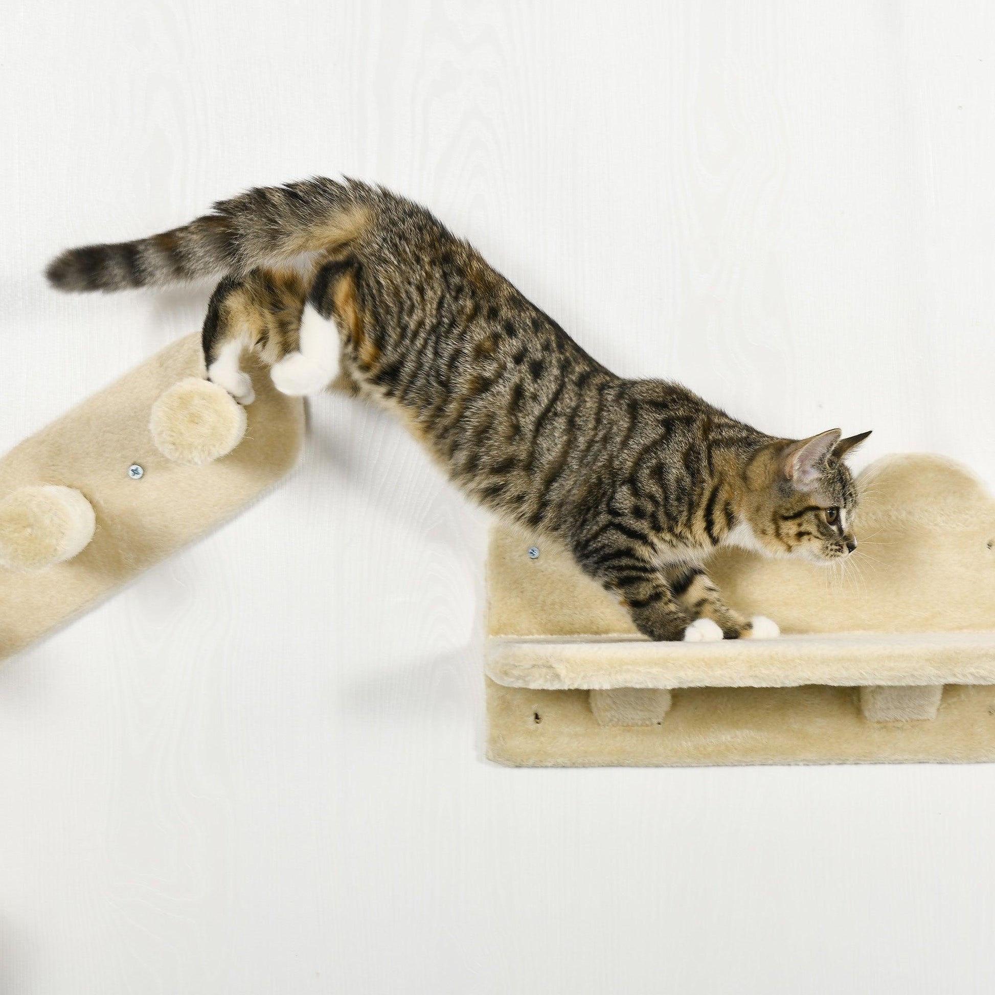 PawHut Cat Climbing Shelf Set: Wall-mounted, Beige - ALL4U RETAILER LTD