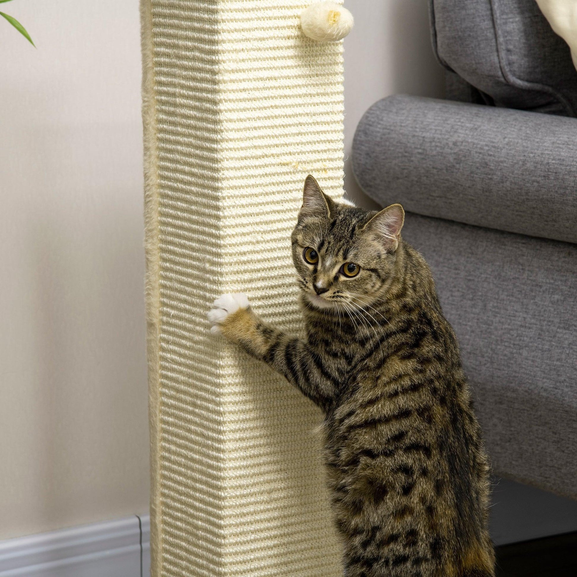 PawHut 80cm Scratching Post Cat Tree with Play Ball - Sisal Rope - ALL4U RETAILER LTD