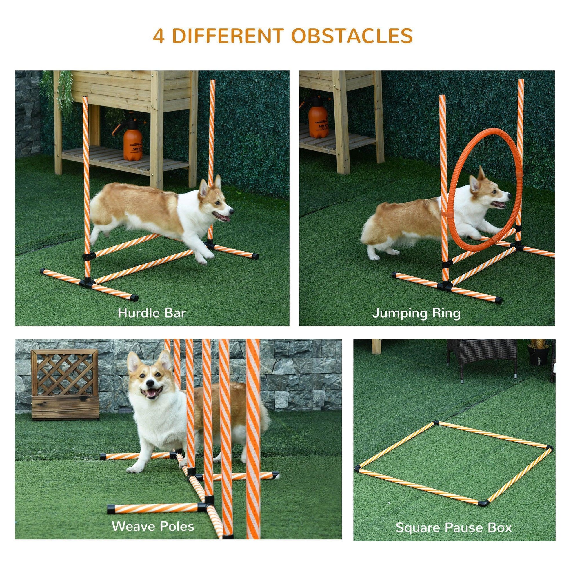 PawHut Agility Jump Set for Dogs - Compact & Adjustable - ALL4U RETAILER LTD