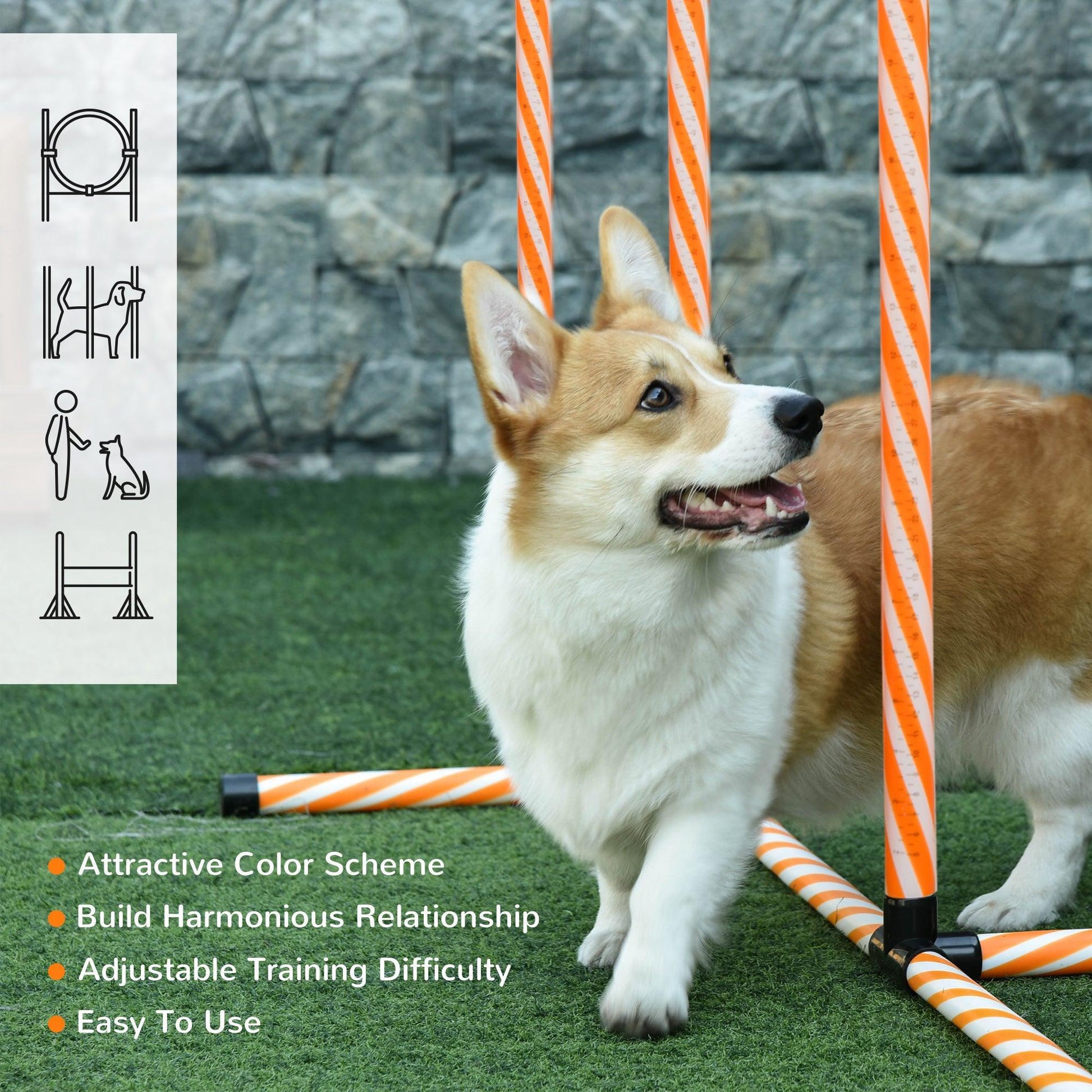 PawHut Agility Jump Set for Dogs - Compact & Adjustable - ALL4U RETAILER LTD