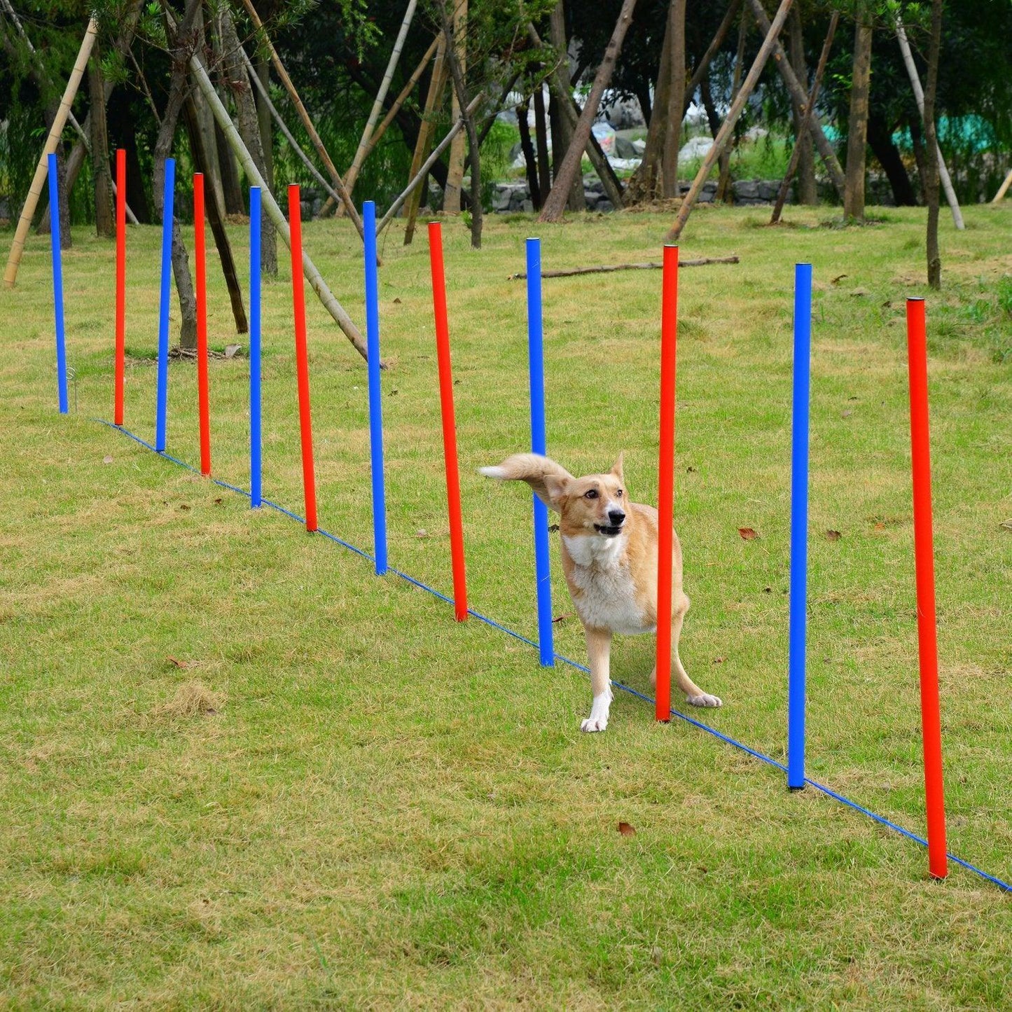 Pawhut Agility Jump Set - Pet Training - ALL4U RETAILER LTD