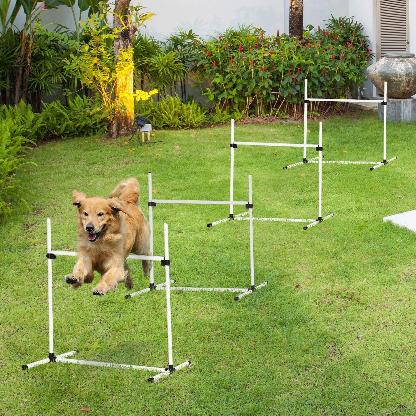 Pawhut Agility Set for Dogs - ALL4U RETAILER LTD