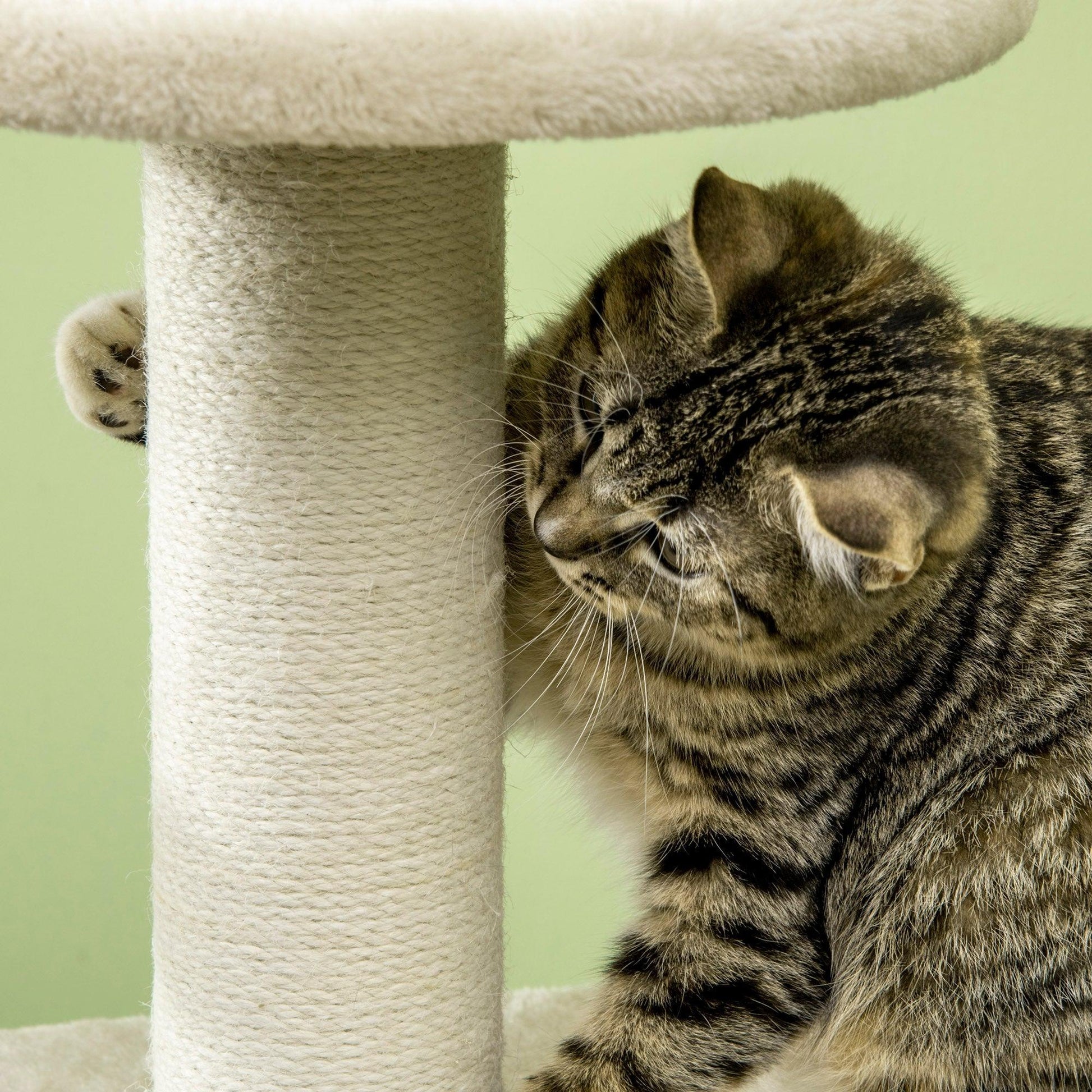 PawHut Cat Tree: Indoor Cat Climbing Tower - ALL4U RETAILER LTD