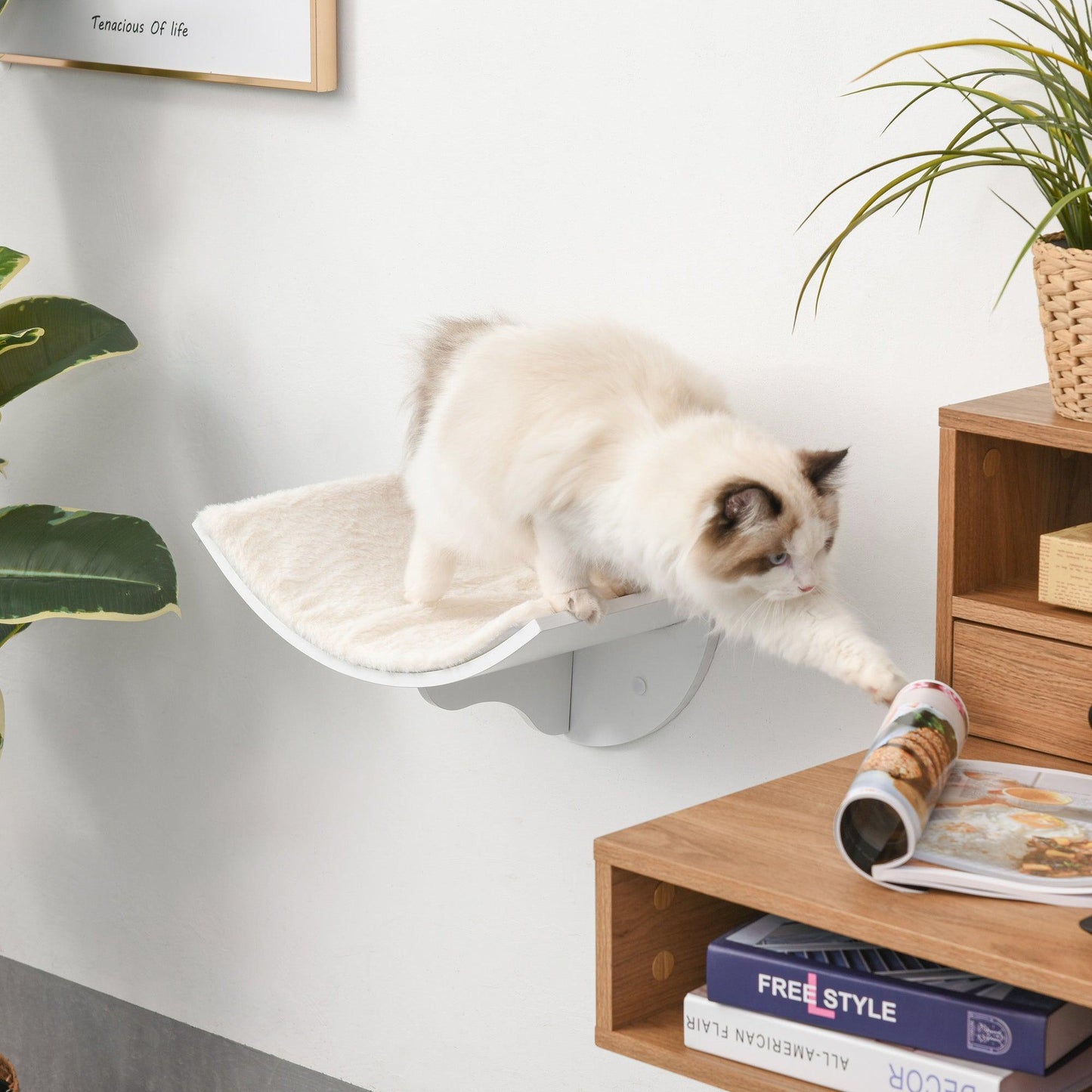 PawHut Cat Wall Shelf - Cozy Curved Bed for Kittens - ALL4U RETAILER LTD