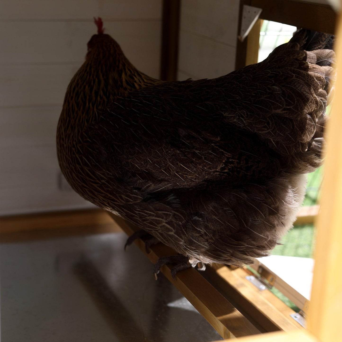 PawHut Chicken Coop: Simplified Cage and Run - ALL4U RETAILER LTD