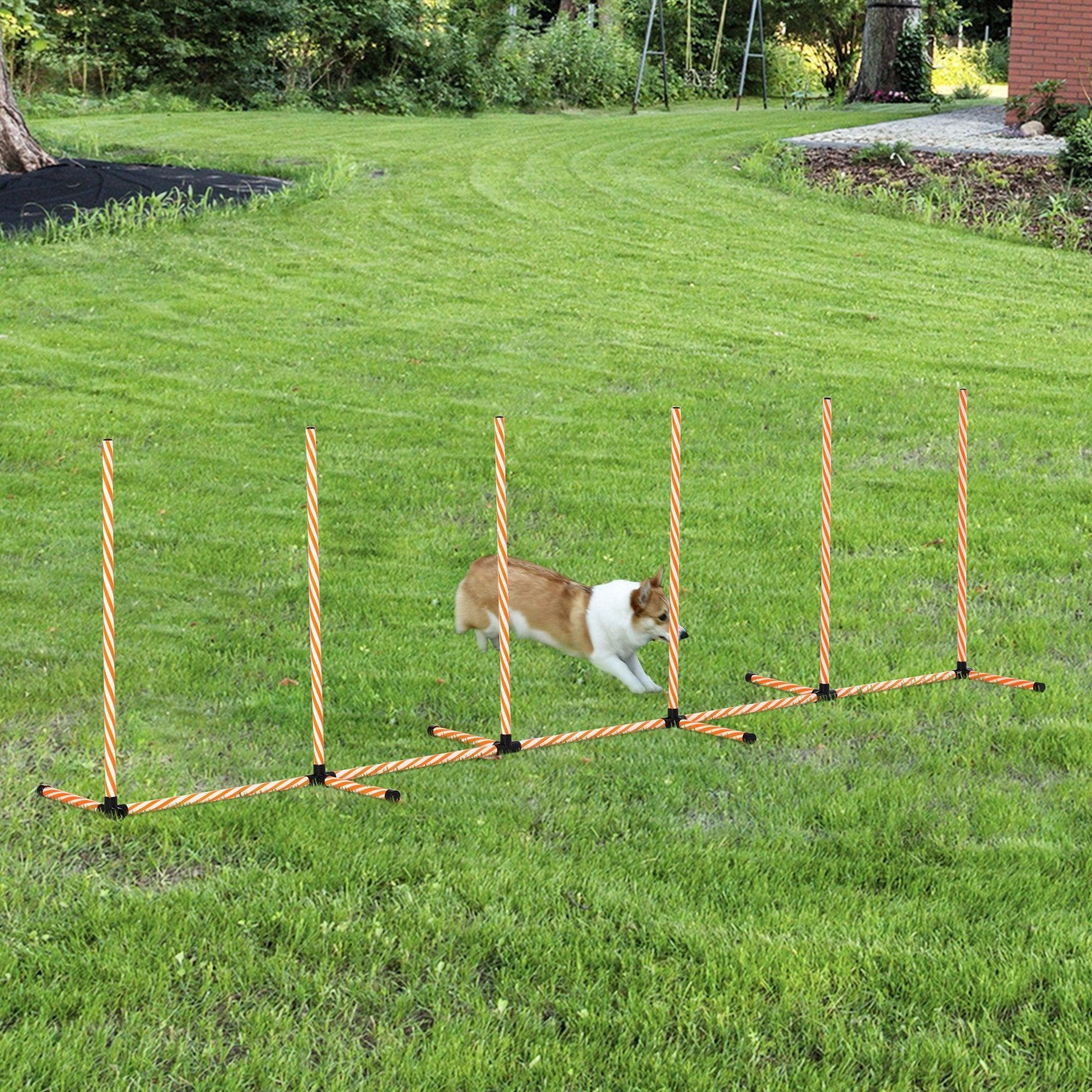 PawHut Dog Weave Poles: Indoor/Outdoor Agility Course - ALL4U RETAILER LTD