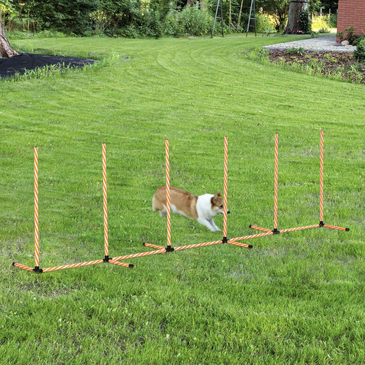 PawHut Dog Weave Poles: Indoor/Outdoor Agility Course - ALL4U RETAILER LTD