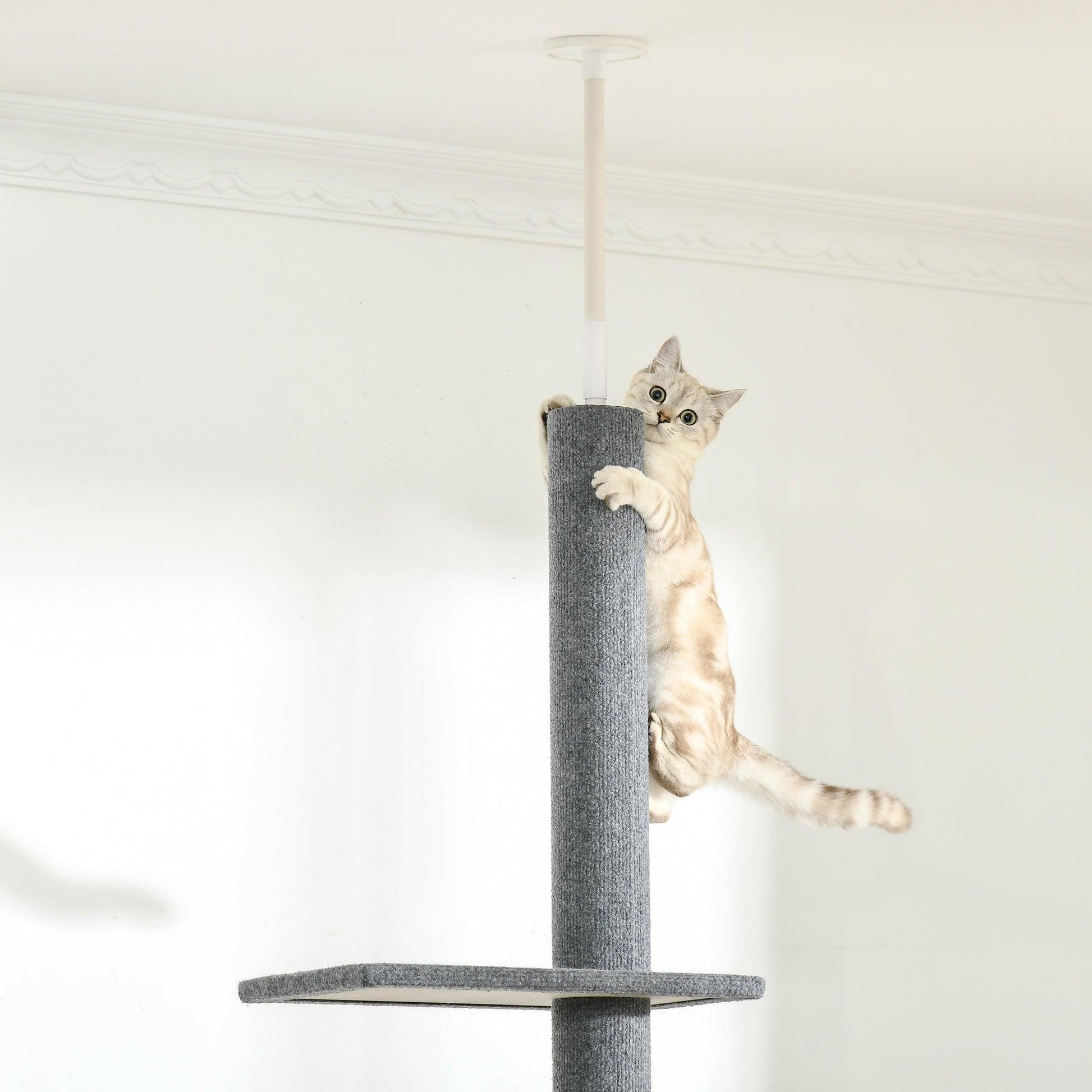 PawHut Grey Cat Tree - 260cm Activity Center - ALL4U RETAILER LTD