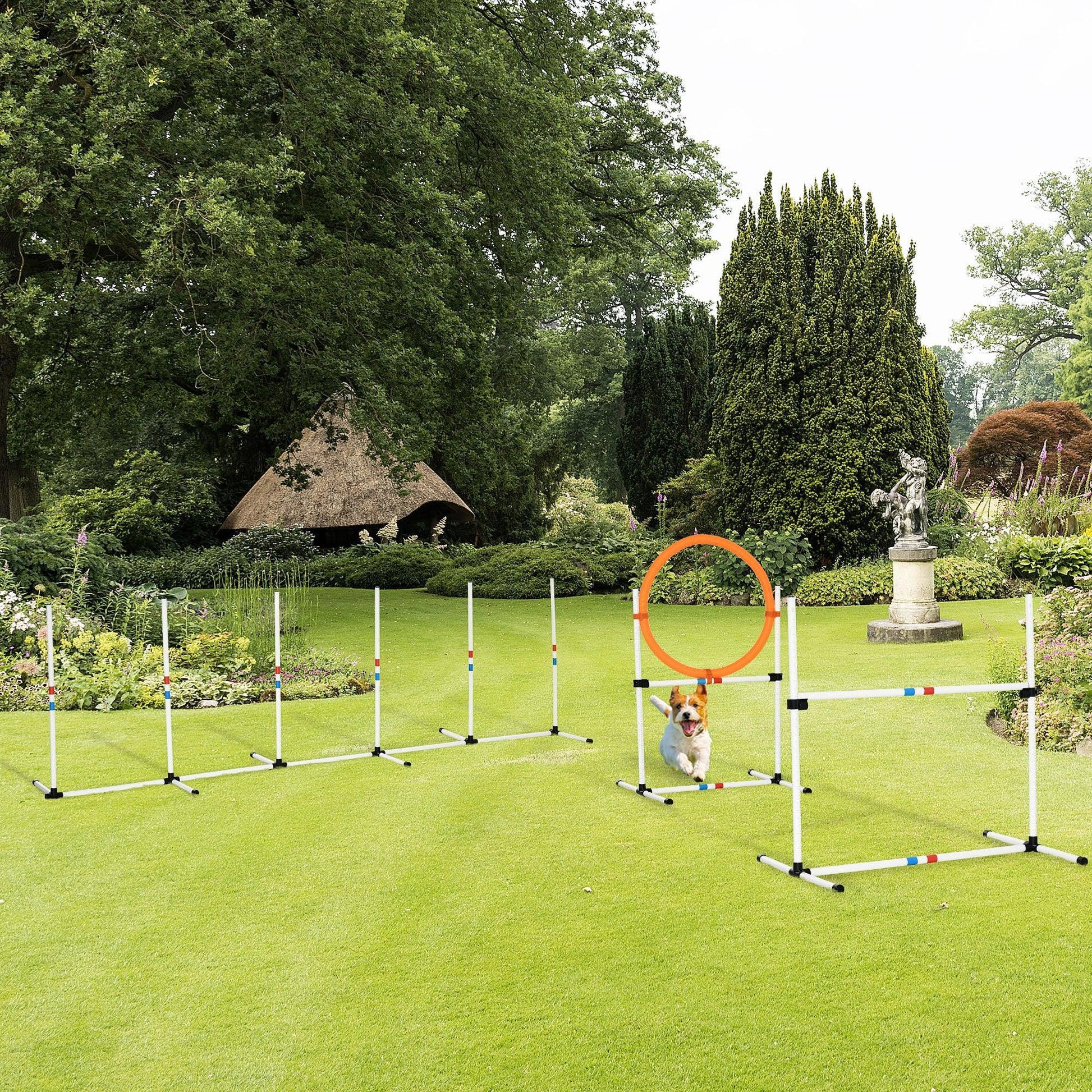 PawHut Pet Agility Training Set - ALL4U RETAILER LTD