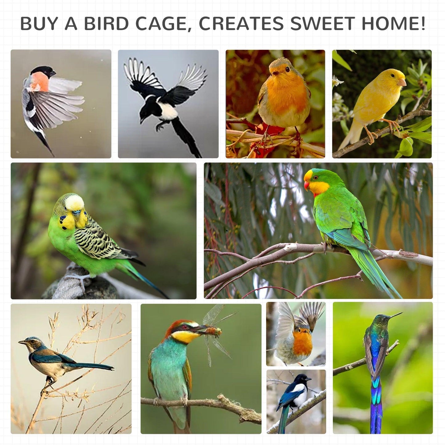 PawHut Wooden Bird Cage: Specifically for Finches and Canaries - ALL4U RETAILER LTD