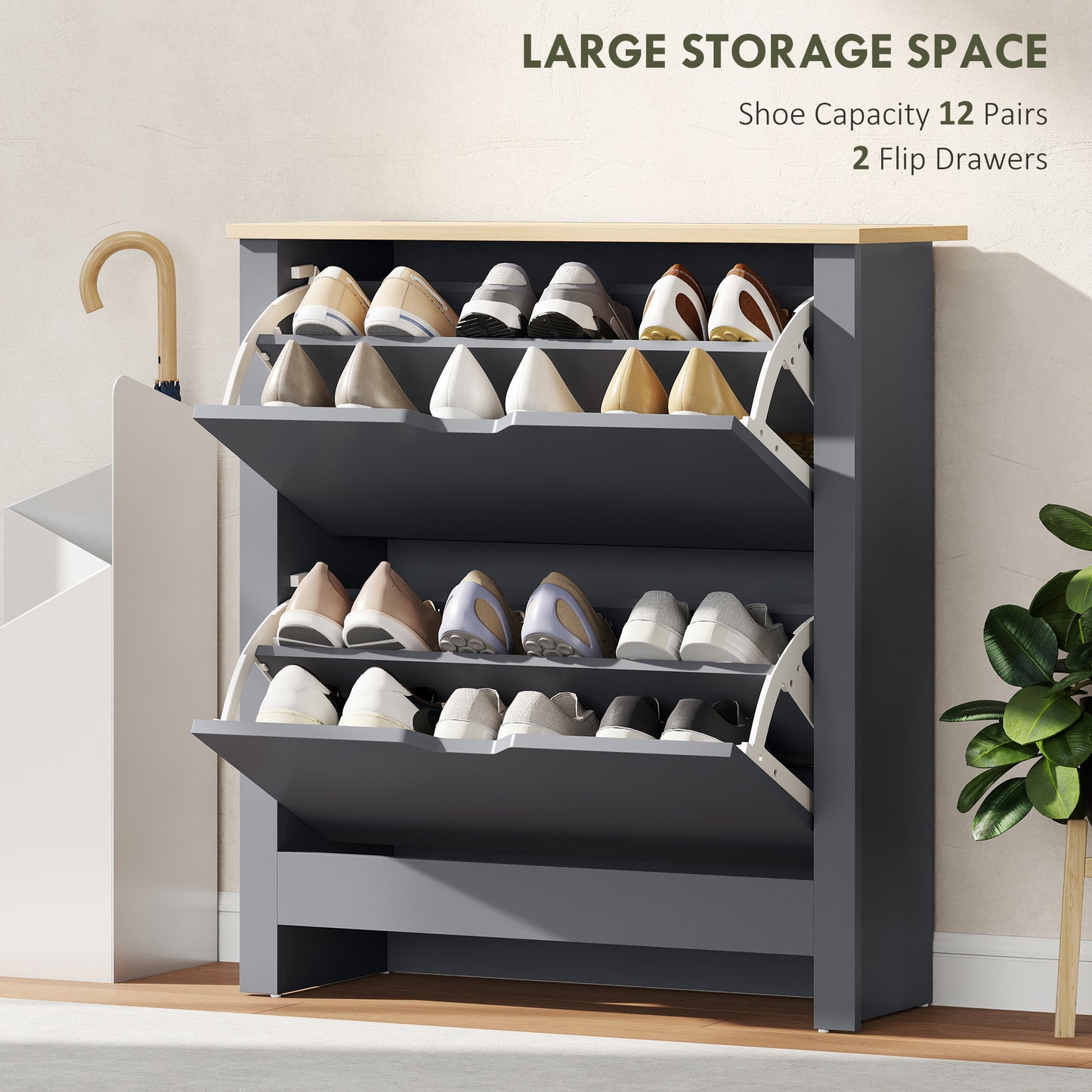 HOMCOM Slim Shoe Cabinet Narrow Cupboard With 2 Flip Drawers And Adjustable Shelves For 12 Pairs Of Shoes Charcoal Grey