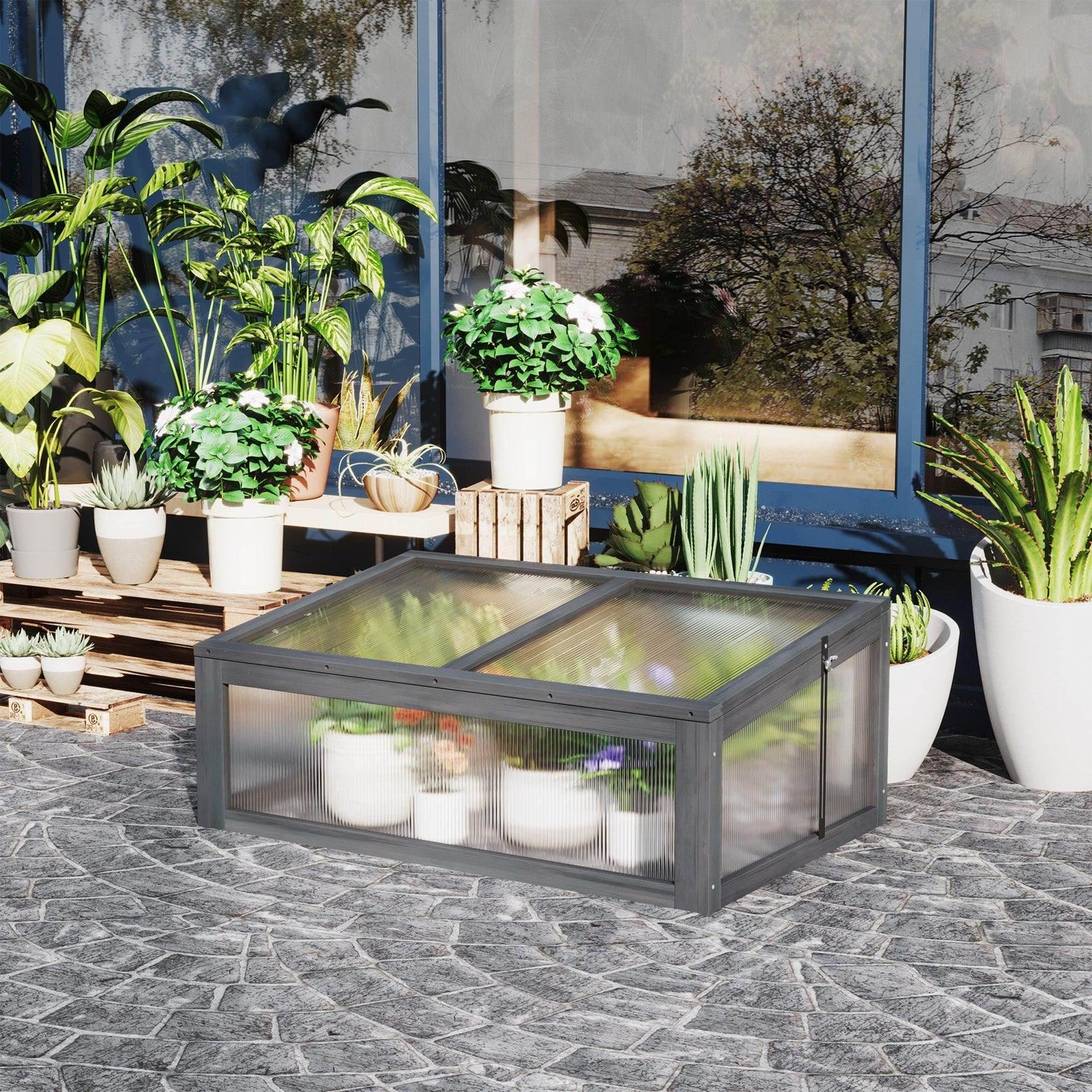 Wood and clear polycarbonate cold frame greenhouse holding potted plants inside