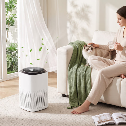 Smart Air Purifier With HEPA Filter For Home App Voice Control